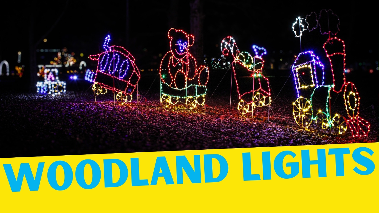 Woodland Lights Washington TWP