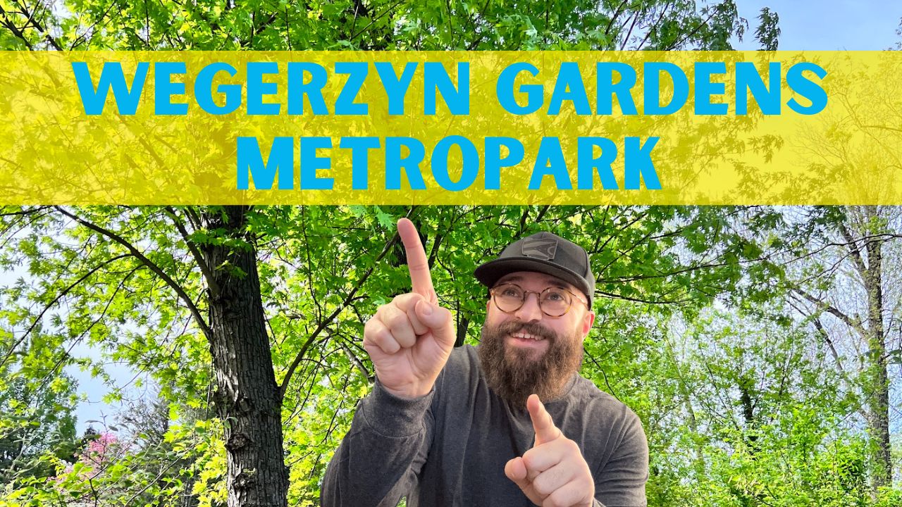 Wegerzyn Park