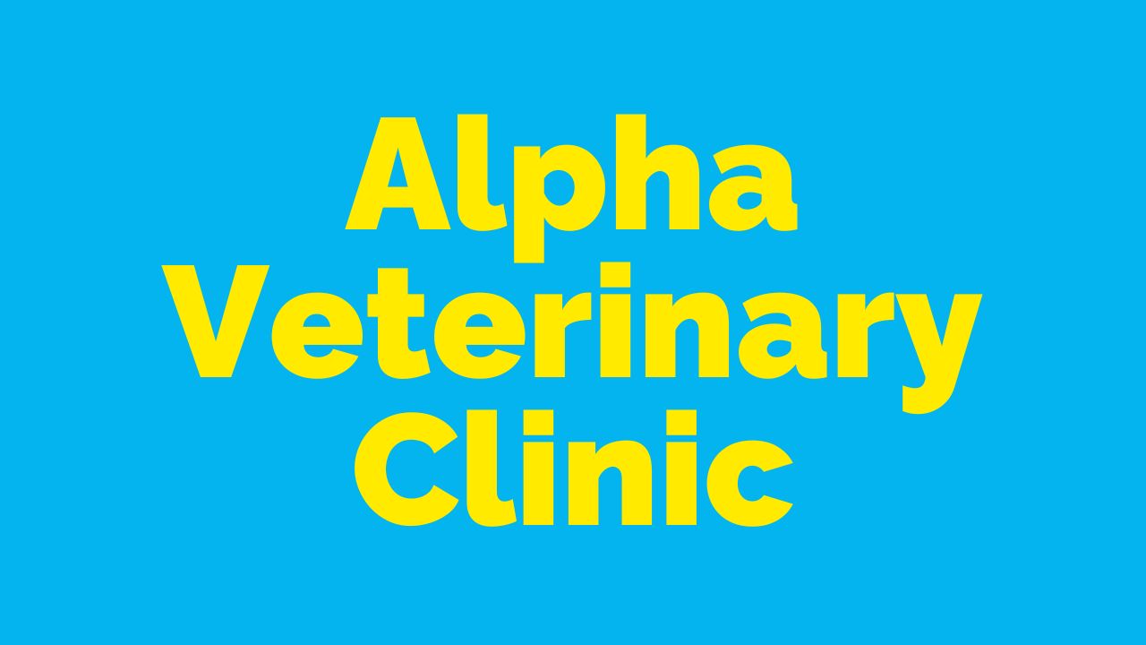 Alpha Veterinary Clinic Beavercreek Ohio