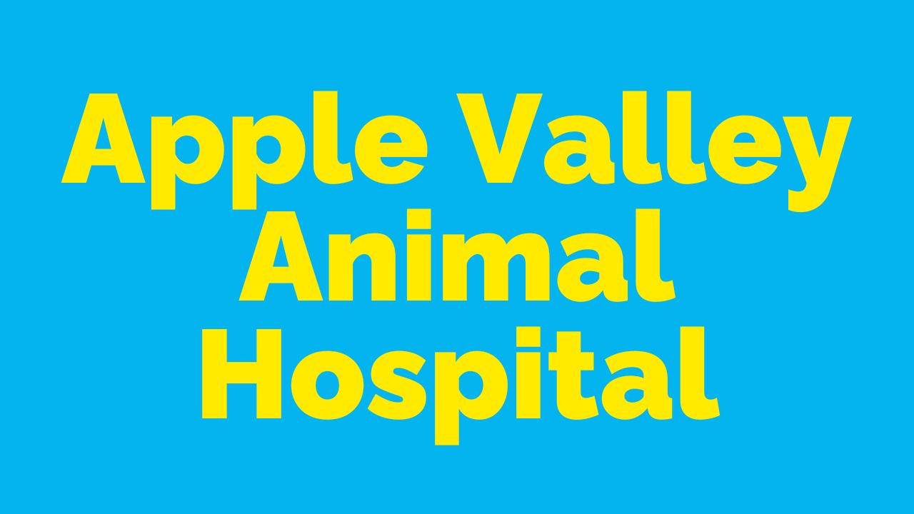 Apple Valley Animal Hospital Beavercreek Ohio