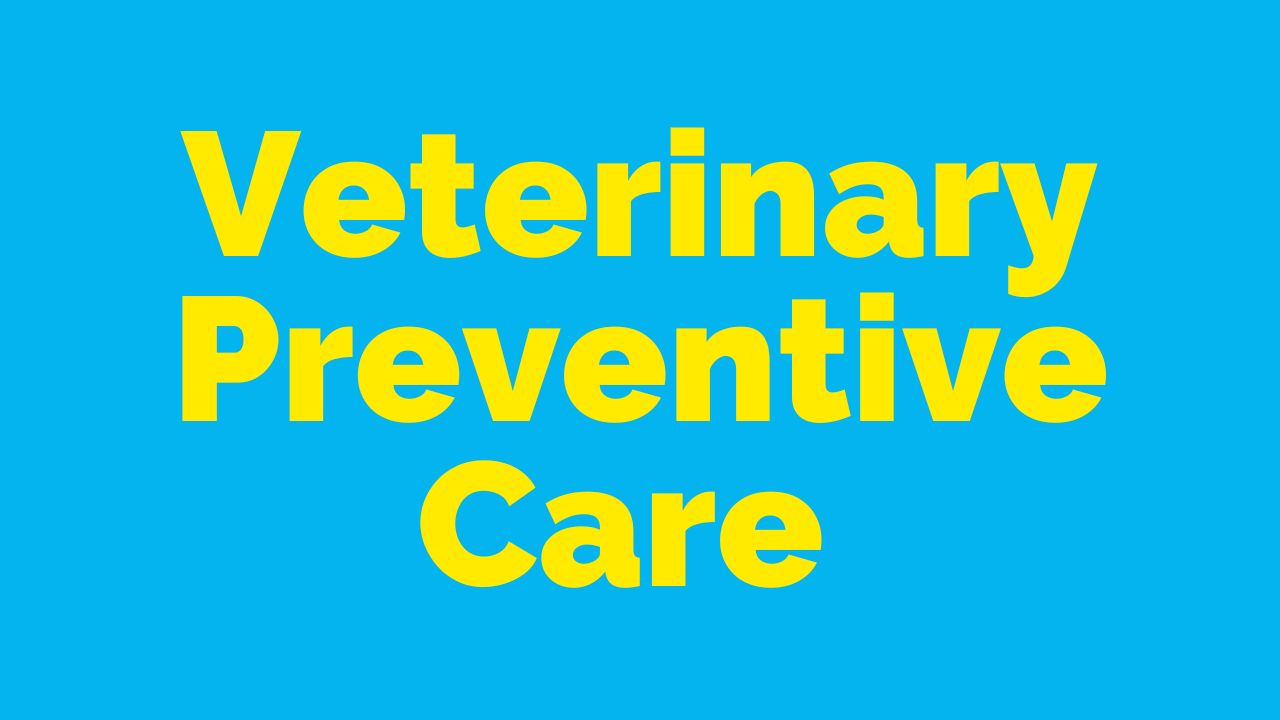 Veterinary Preventive Care Beavercreek Ohio